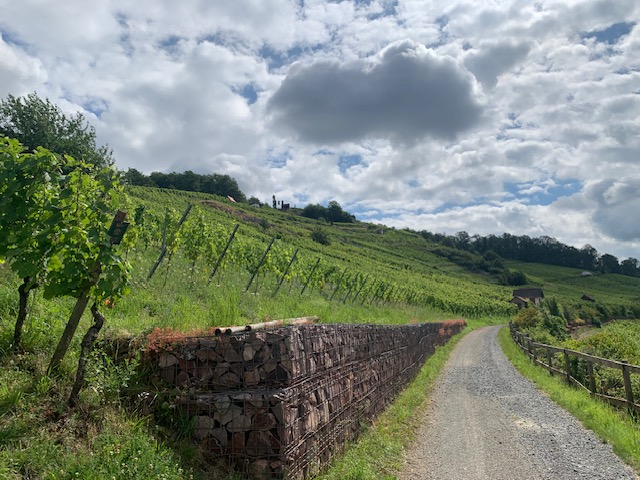 2024 Wanderung Weg